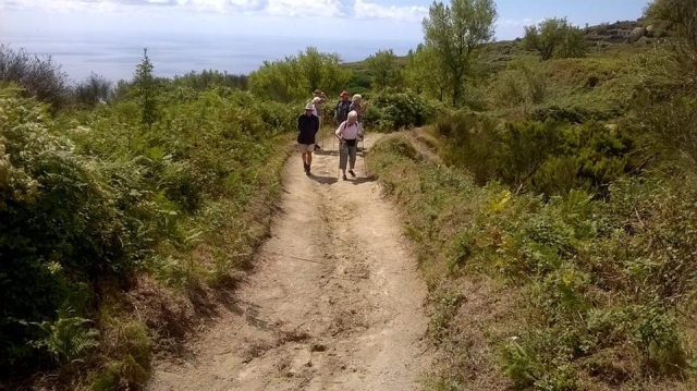  Un hermoso paseo 